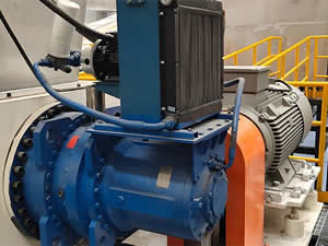 Broyeur à Cisaillement à Double Arbre