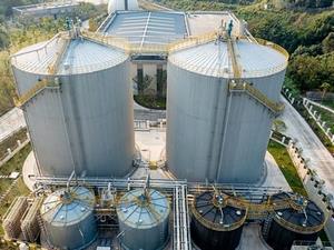 Système de Traitement des Déchets de Cuisine